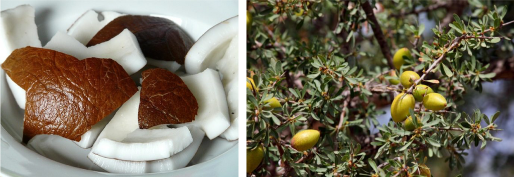 Argan Oil vs. Coconut Oil: What's the difference?